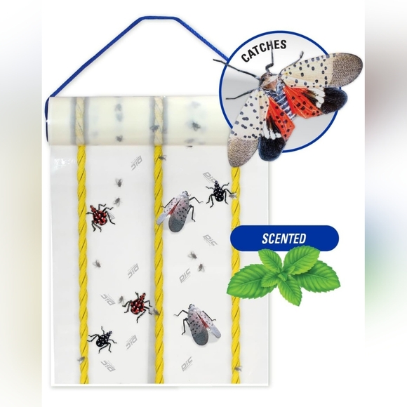 PIC Spotted Lantern Fly Trap, 1 Roll 20ft Roll Each,Flying Insect Trap,Glue Trap - Picture 3 of 11